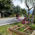 Renard By Interhome