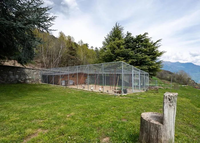 Renard By Interhome Sarre